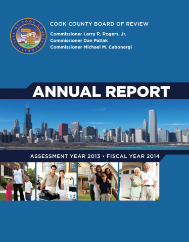 2013 Annual Report